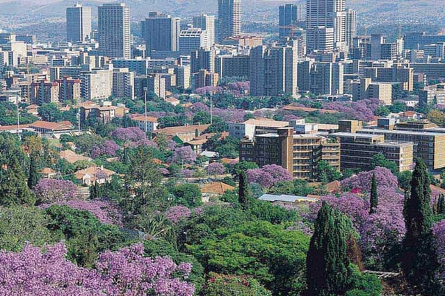 Pretoria Capital city with Jacaranda flowers